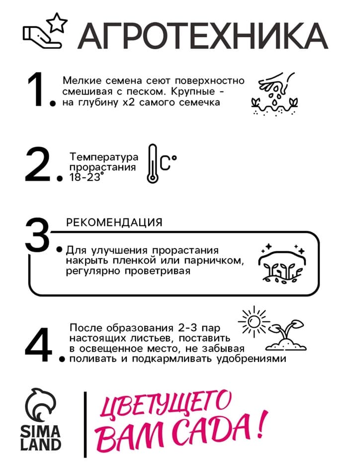 Семена Дельфиниум «Белый», цветной пакет, 0.05 г