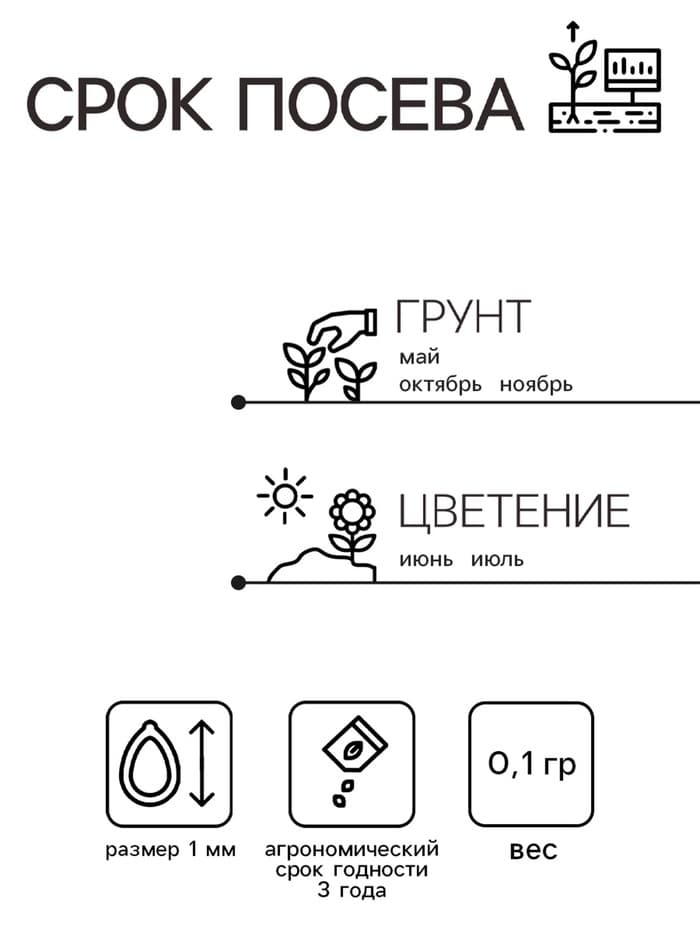 Семена цветов Гипсофила изящная «Кармин», 0.1 г, многолетник, «Гавриш»