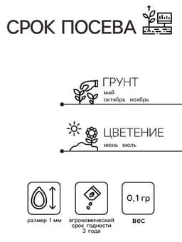 Семена цветов Гипсофила изящная «Кармин», 0.1 г, многолетник, «Гавриш»