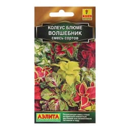 Семена Колеус «Волшебник», смесь сортов, 5 шт.