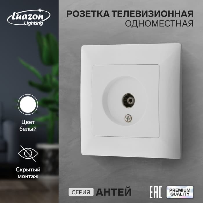 Розетка ТВ Luazon Lighting «Антей», скрытая, IP20, одноместная, белая
