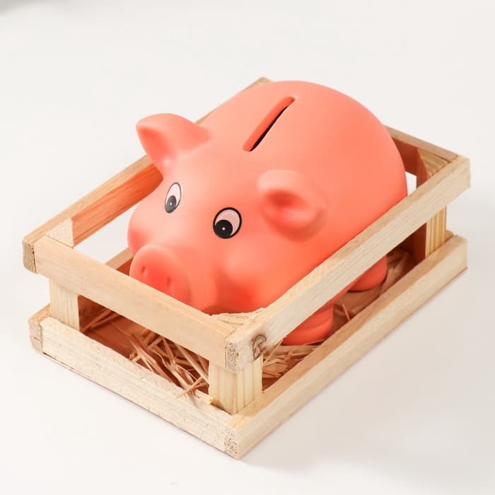 Копилка для денег «Хрюша в загоне», керамика, 14.5×10.5×10.5 см