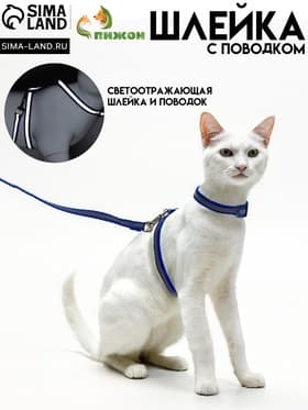 Комплект для кошек, шлейка 21-35 см, ширина 1 см, поводок 120 см, светоотражающий, синий