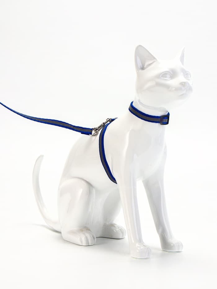Комплект для кошек, шлейка 21-35 см, ширина 1 см, поводок 120 см, светоотражающий, синий