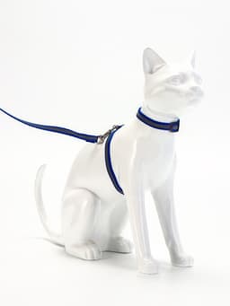 Комплект для кошек, шлейка 21-35 см, ширина 1 см, поводок 120 см, светоотражающий, синий