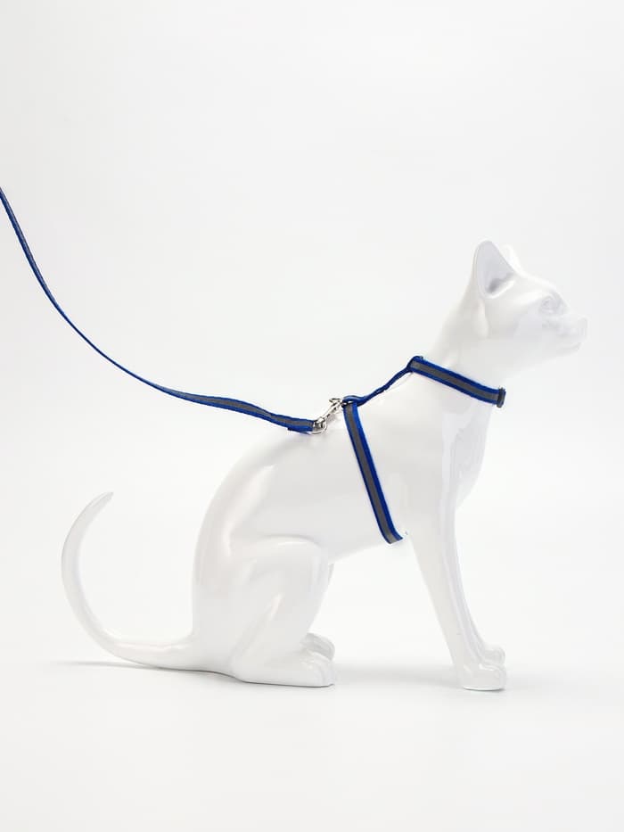 Комплект для кошек, шлейка 21-35 см, ширина 1 см, поводок 120 см, светоотражающий, синий