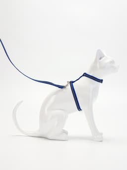 Комплект для кошек, шлейка 21-35 см, ширина 1 см, поводок 120 см, светоотражающий, синий