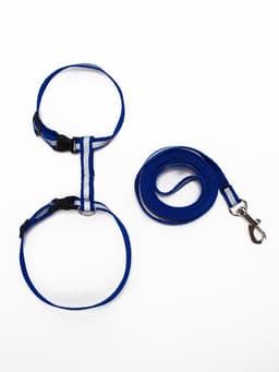 Комплект для кошек, шлейка 21-35 см, ширина 1 см, поводок 120 см, светоотражающий, синий