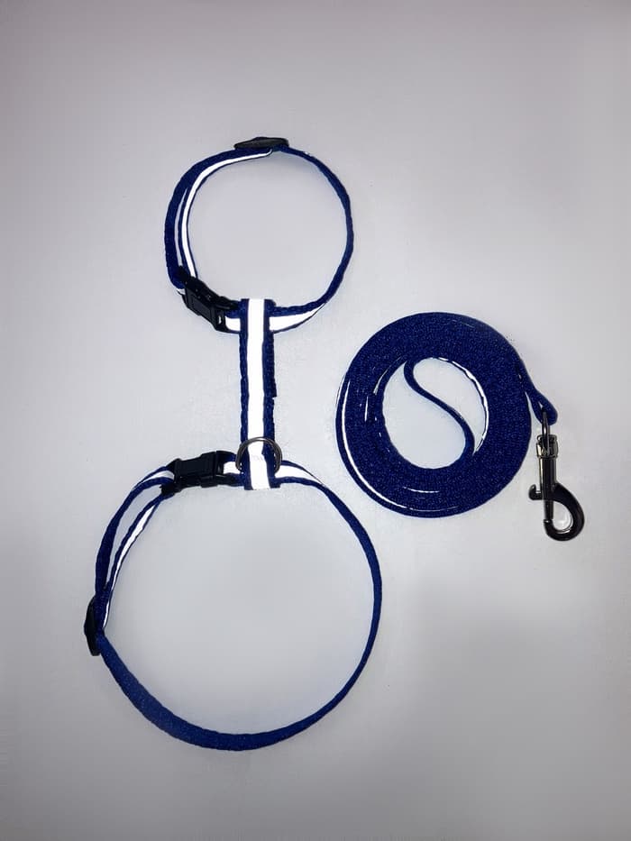 Комплект для кошек, шлейка 21-35 см, ширина 1 см, поводок 120 см, светоотражающий, синий