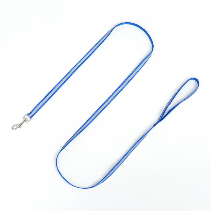 Комплект для кошек, шлейка 21-35 см, ширина 1 см, поводок 120 см, светоотражающий, синий