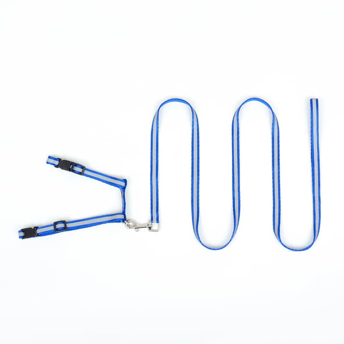 Комплект для кошек, шлейка 21-35 см, ширина 1 см, поводок 120 см, светоотражающий, синий