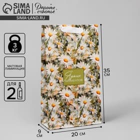 Пакет подарочный под две бутылки, упаковка, «Яркие моменты», 35×20×9 см