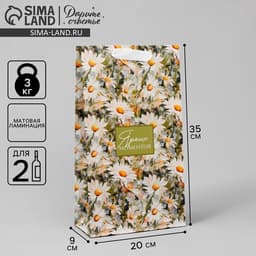 Пакет подарочный под две бутылки, упаковка, «Яркие моменты», 35×20×9 см