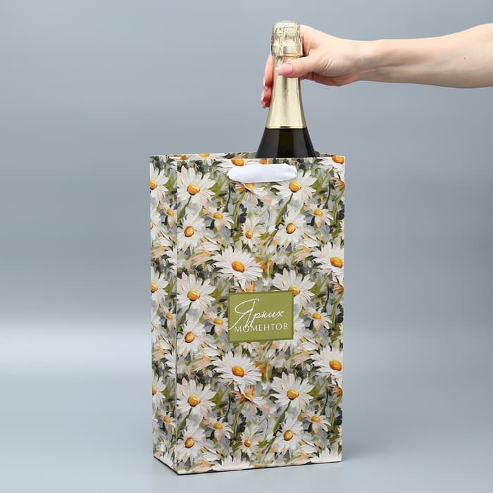 Пакет подарочный под две бутылки, упаковка, «Яркие моменты», 35×20×9 см
