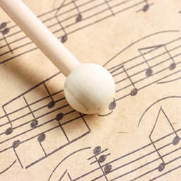 Музыкальный инструмент: Гонг с колотушкой, Music Life, 9 см