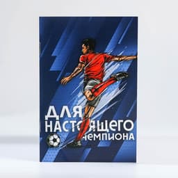 Подарочный набор, блокнот - раскраска, мелки 4 шт. «Настоящий чемпион»