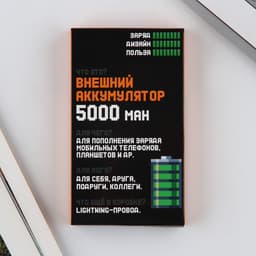 Зарядное устройство «100% заряд», 5000мА