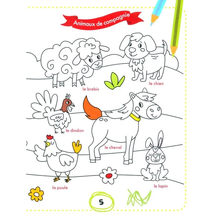 Французский для малышей «Раскрась и выучи слова»