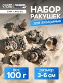Набор ракушек с перламутром, 3 - 6 см, 100 г