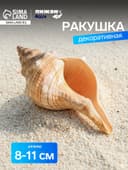 Ракушка декоративная, 8-11 см