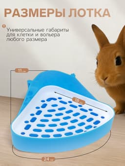 Туалет для кроликов и хорьков, 24×18×11 см, угловой, пластик, синий