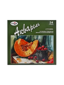 Акварель художественная в кюветах «Гамма. Студия», 24 цвета × 2.5 мл