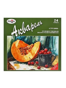 Акварель художественная в кюветах «Гамма. Студия», 24 цвета × 2.5 мл