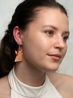 Серьги акриловые «Коты», забавные, бежево-коричневые