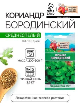 Семена Кориандр «Бородинский», 5 г, «Рецепты дедушки Никиты»
