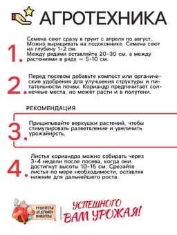 Семена Кориандр "Бородинский", 5 г