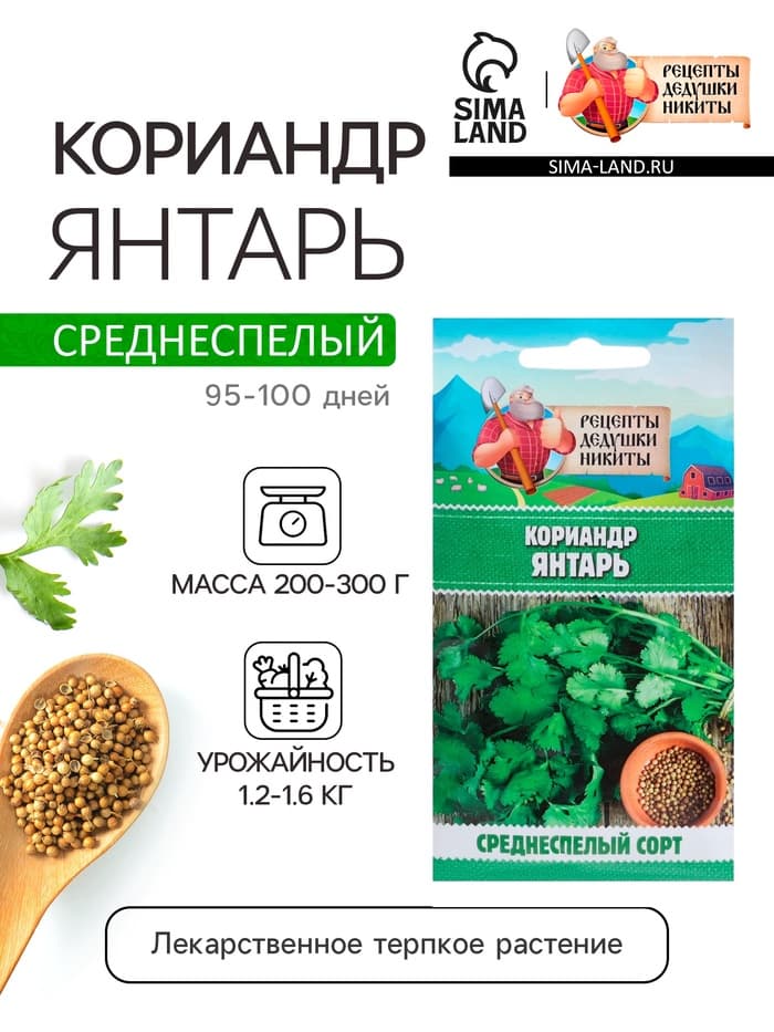 Семена Кориандр «Янтарь», 5 г, «Рецепты дедушки Никиты»