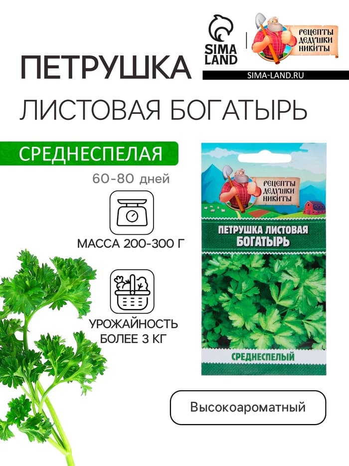 Семена петрушка листовая «Богатырь», 2 г