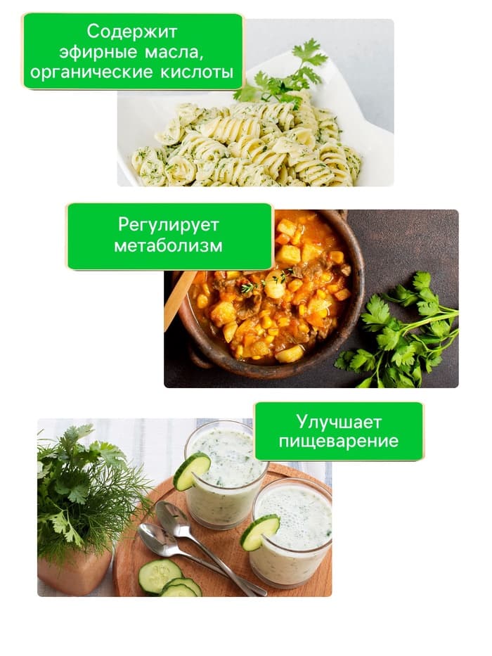 Семена петрушка листовая «Богатырь», 2 г