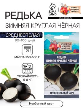 Семена Редька "Зимняя круглая чёрная", среднеспелая, 1 г