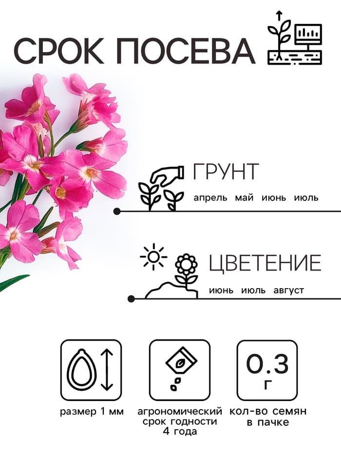 Семена цветов Маттиола двурогая «Вечерний аромат», смесь, 0.3 г, «Рецепты дедушки Никиты»