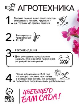 Семена цветов Маттиола двурогая «Вечерний аромат», смесь, 0.3 г, «Рецепты дедушки Никиты»