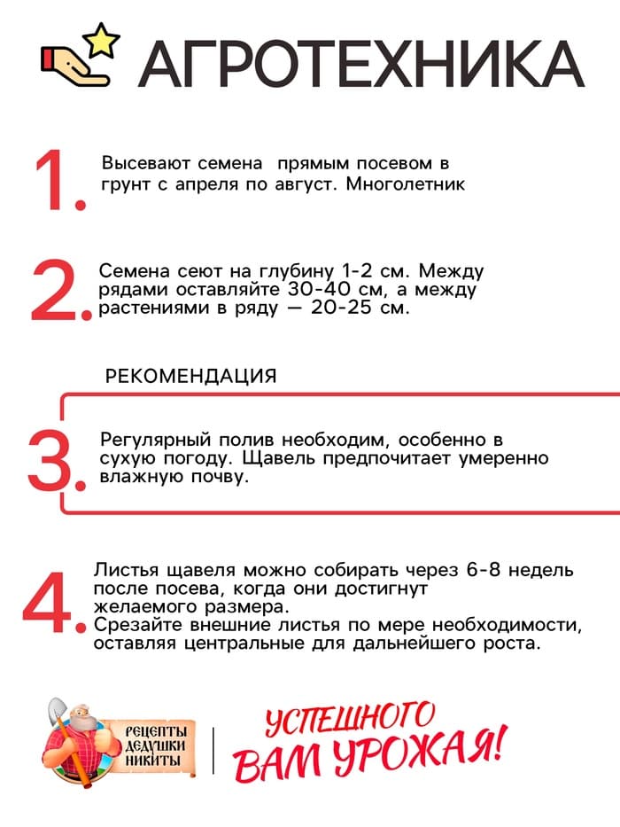 Семена Щавель "Бельвильский", 1 г