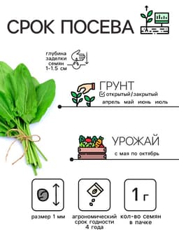 Семена Щавель "Широколистный", 1 г