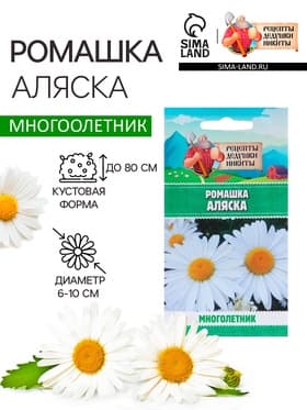 Семена цветов Ромашки «Аляска» 0.3 г