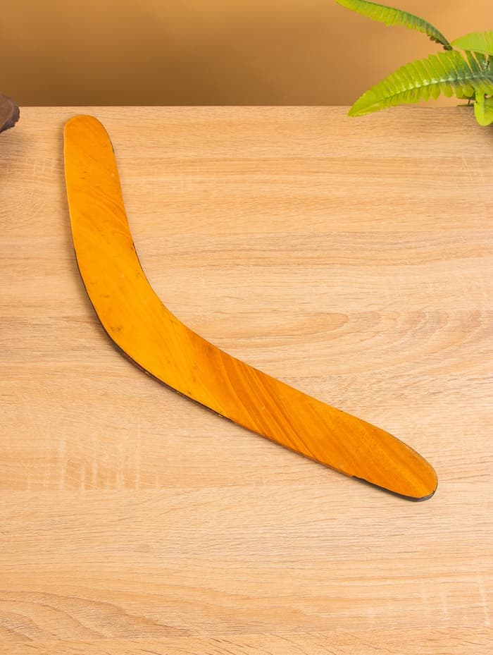 Сувенир Бумеранг «Цветная волна», 50×6×1 см