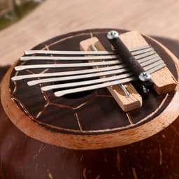 Сувенирный музыкальный инструмент Калимба «Черепаха» 23×18×7 см