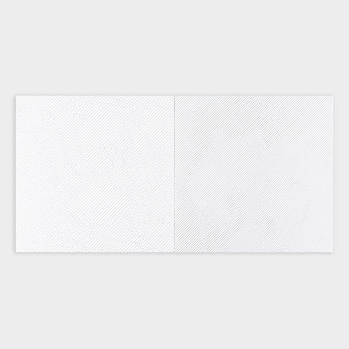 Раскраска-антистресс по полоскам «Яркие животные», 21×21 см