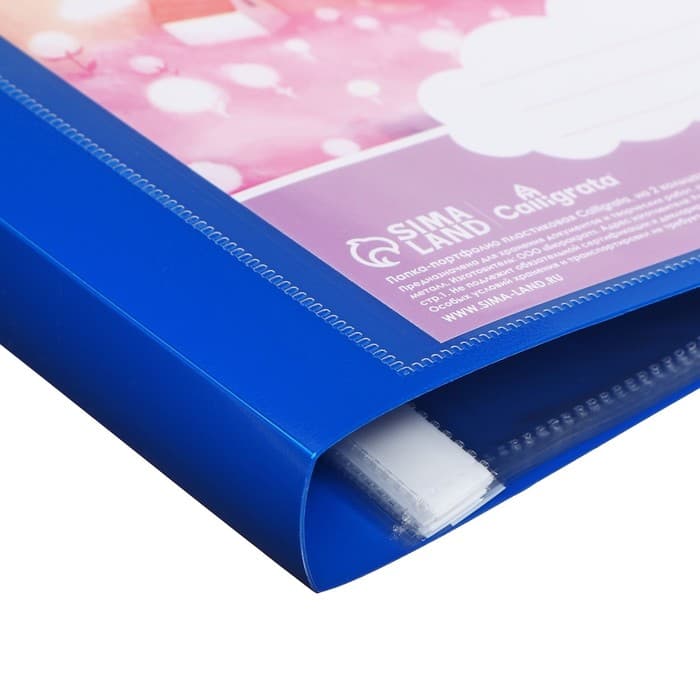 Папка-портфолио А4, Calligrata «Продленка», пластиковая, на 2 кольцах, для дошкольника, 10 файлов