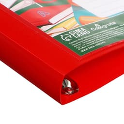 Папка-портфолио А4, Calligrata «Переменка», пластиковая, на 4 кольцах, для школьника, без вкладышей