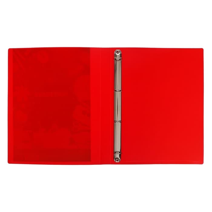 Папка-портфолио А4, Calligrata «Переменка», пластиковая, на 4 кольцах, для школьника, без вкладышей