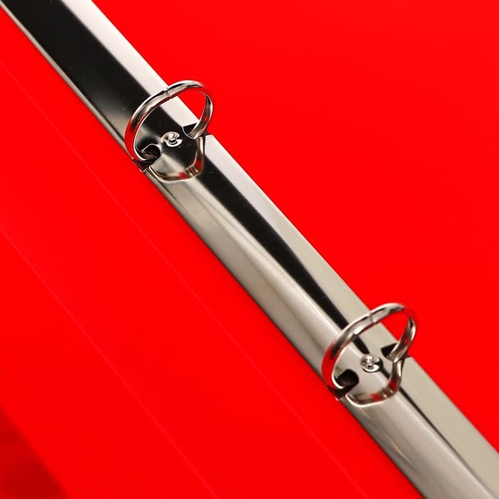 Папка-портфолио А4, Calligrata «Переменка», пластиковая, на 4 кольцах, для школьника, без вкладышей