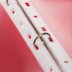 Папка-портфолио А4, Calligrata «Герб», пластиковая, на 4 кольцах, для школьника, 20 файлов