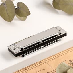 Губная гармошка Music Life T10 C диатоническая, 10 отверстий, с футляром