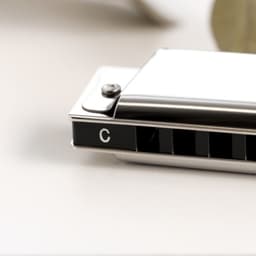 Губная гармошка Music Life T10 C диатоническая, 10 отверстий, с футляром