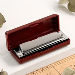 Губная гармошка Music Life T10 C диатоническая, 10 отверстий, с футляром